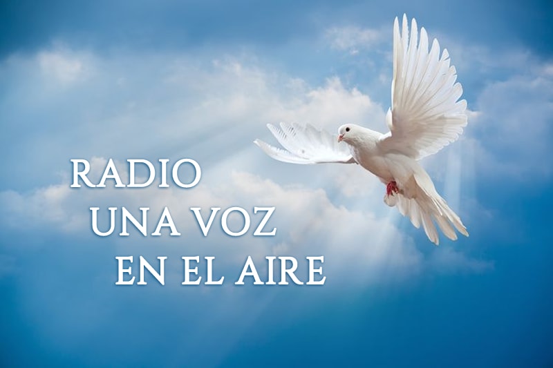 Radio Una Voz en el Aire